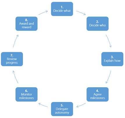 diagram indicating the 8 steps of delegation